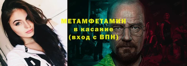 прущие грибы Пролетарск