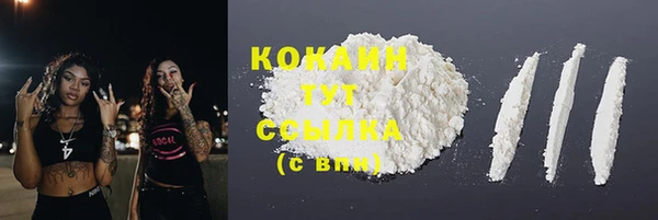 прущие грибы Пролетарск