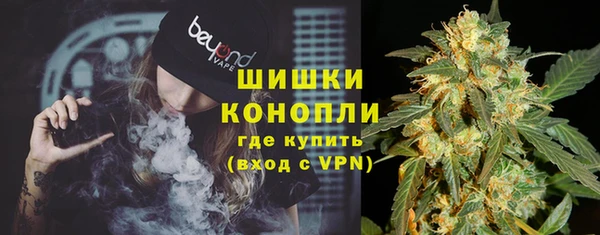сатива Приозерск