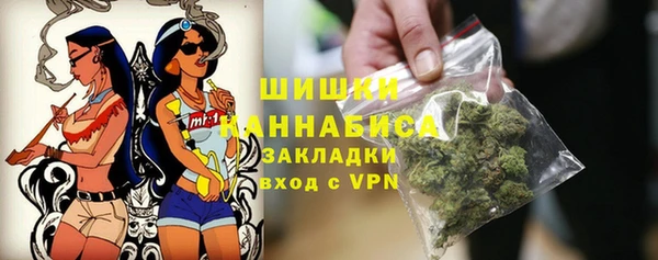 прущие грибы Пролетарск
