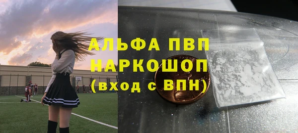 прущие грибы Пролетарск