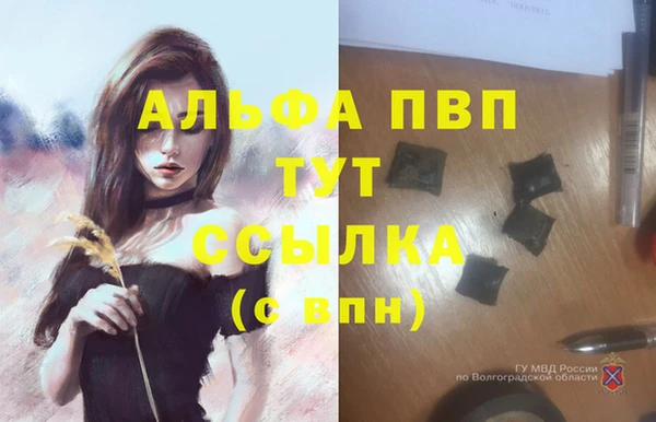 прущие грибы Пролетарск