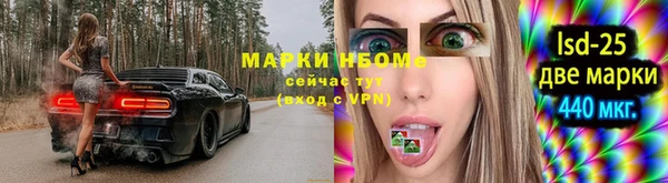 сатива Приозерск