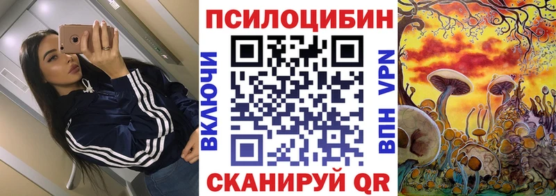 Купить  Котовск  Псилоцибиновые грибы прущие грибы 